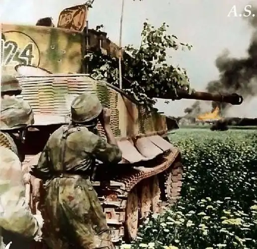 罕见二战彩色照片:党卫军俘虏101空降师士兵,虎王坦克掩护士兵_战争