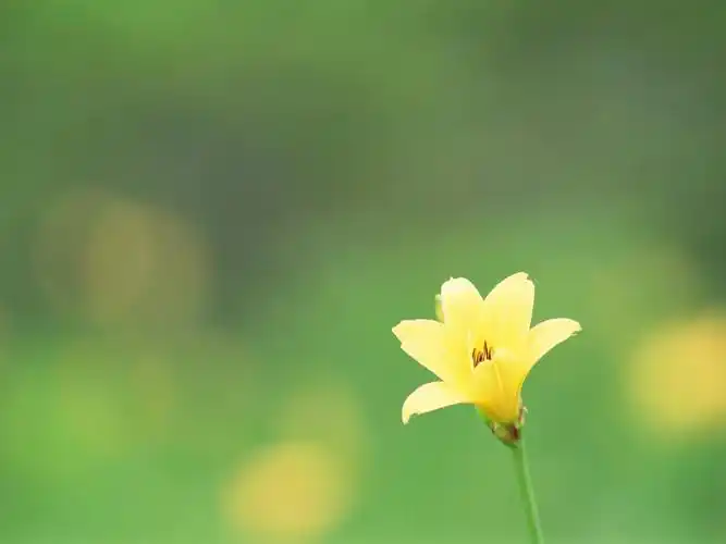 小清新第十一辑