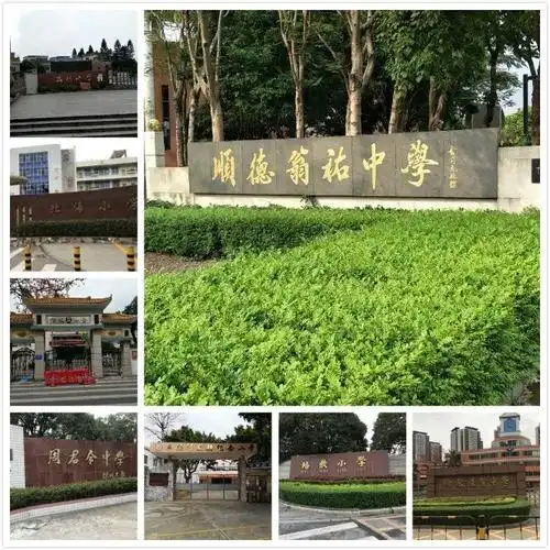 碧丽为8所学校捐赠温开水饮水设备  伦教小学,荔村小学,翁佑中学,培教