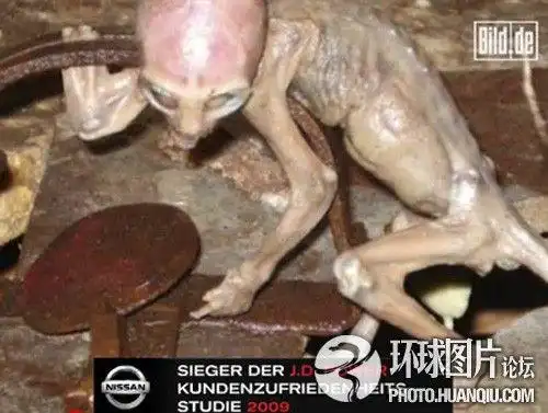 主题:【分享】女子产下"外星人"震惊欧洲