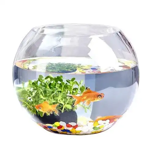 2021新款金鱼精致玻璃鱼缸圆形碗莲小型独立式裸缸阳台花式养鱼书