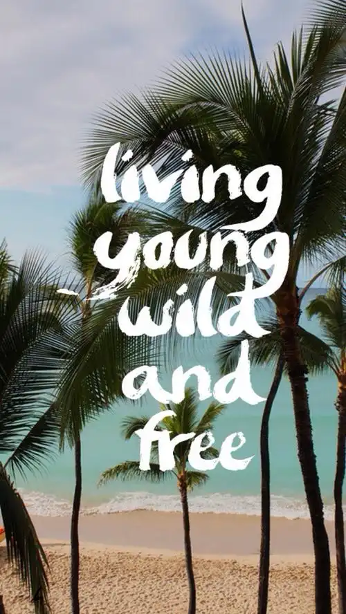 medahughes 壁纸 iphone 清新 欧美 原宿 文字 句子 请勿二改删logo