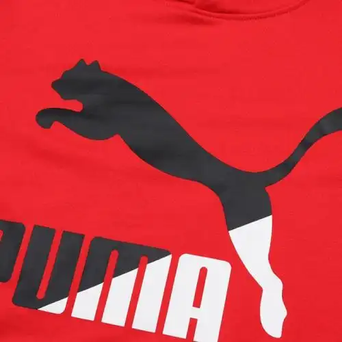 puma彪马classicslogohoodytr秋季男子针织卫衣59590747