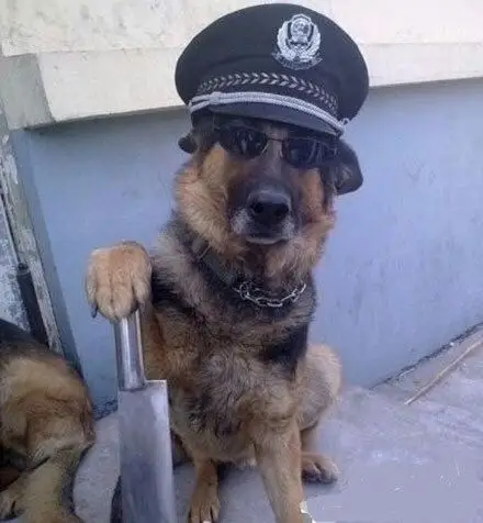 不许笑一一公司员工表情一览