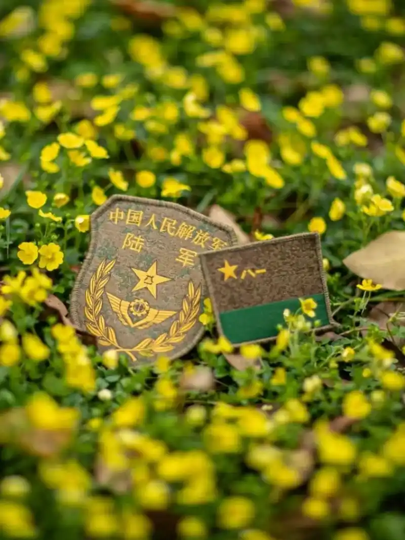 春天里的陆军军营,陆军标志服饰和陆军小姐姐,太美了98#中国 - 抖音
