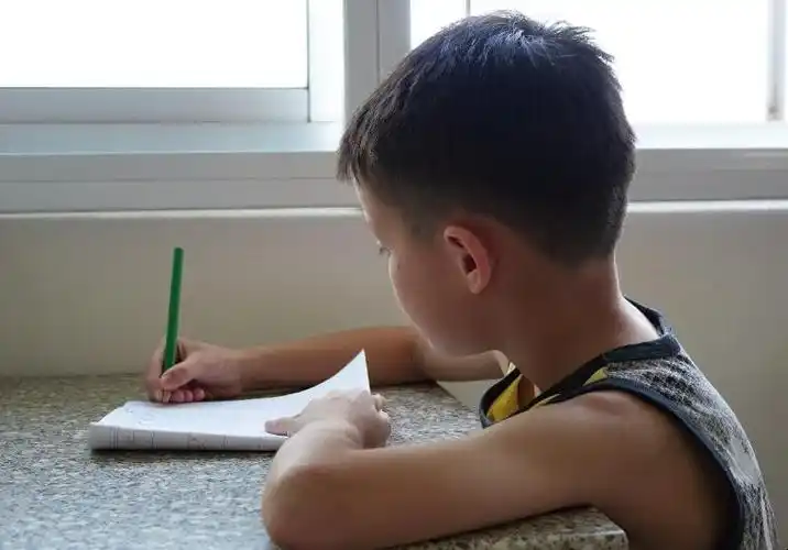 小学生写作业