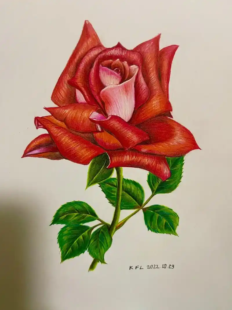 彩铅手绘 #疫情偷走了时光 #静默状态 #给生活多一点色彩 - 抖音