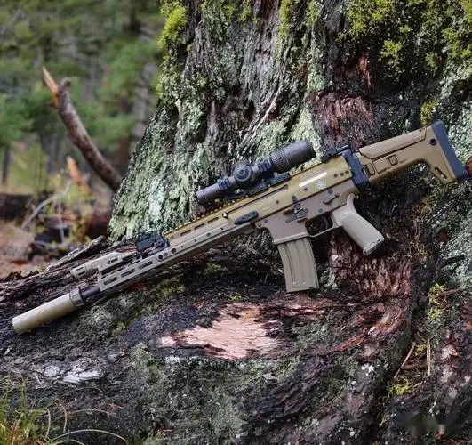 【泥色当道】比利时fn公司scar系列步枪美图欣赏