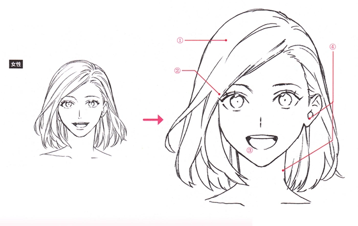 动漫人脸简笔画家庭成员人物头像简笔画素材2人物脸部简笔画图片-卡通