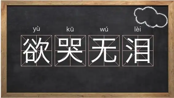 《欲哭无泪》解释/拼音/读音/英文/繁体
