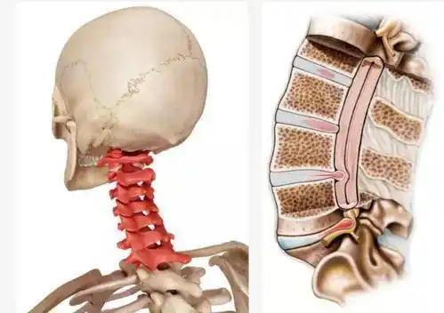 徐州中医名松堂护颈别误颈颈椎疼痛要这样做