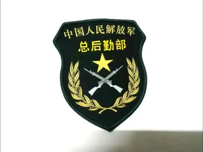 这些臂章已经成为历史和纪念,并装订成册,我有幸见证了这一时刻 - 抖