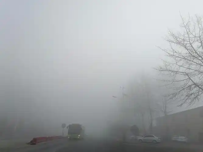 大雾弥漫的城市街道