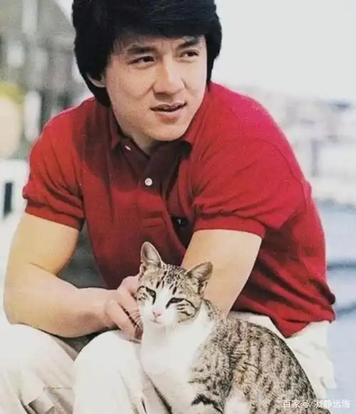 成龙大哥,中国人的骄傲,年轻的他真的太帅了