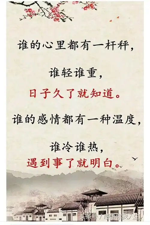 感悟你我人生,品味人生百态