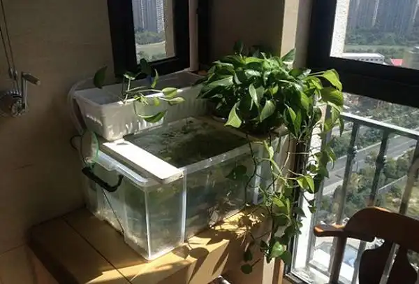 鱼缸 阳台 - 2020年最新商品信息聚合专区 - 百度爱采购