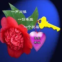 开开心心每一天头像_微信头像图片大全