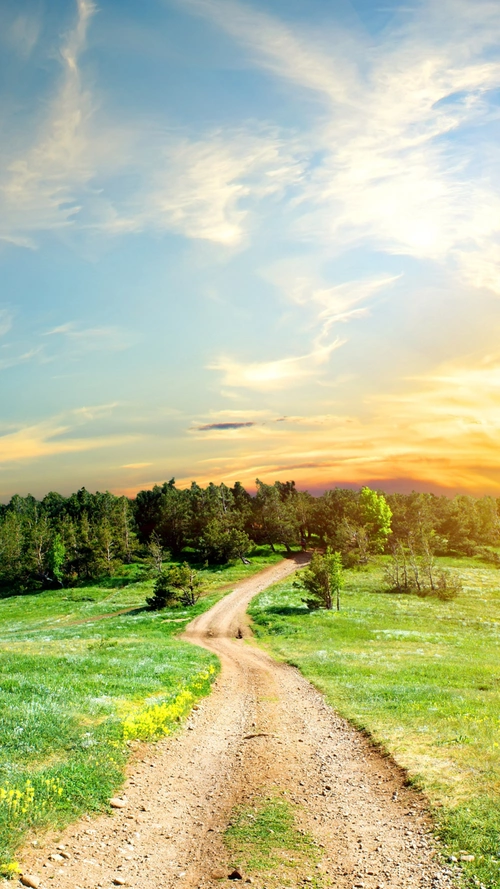 乡间小路h5背景