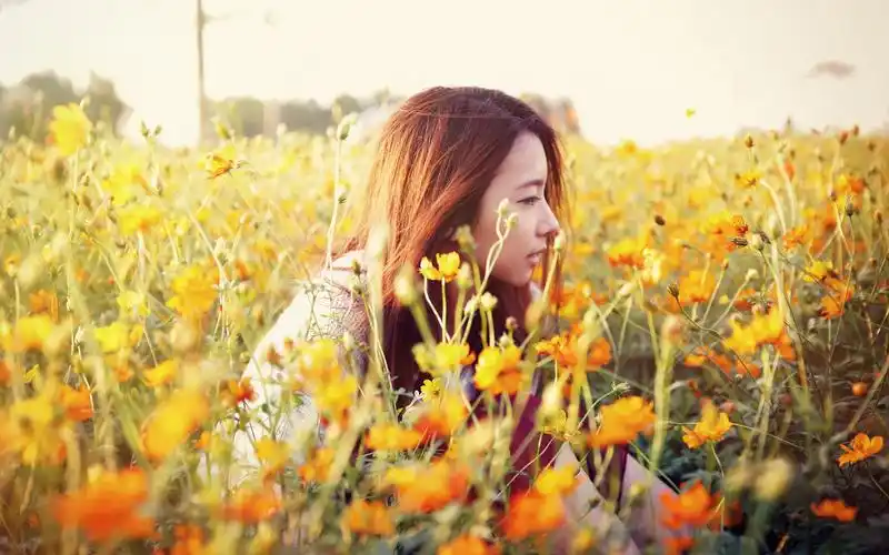 女孩,花海,唯美,清新,安静,花朵,afklsung,美女,住在春天,森林系女孩