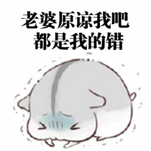 小仓鼠版跟老婆道歉表情包