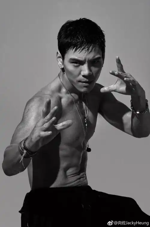 不过也正因为练武,向佐一直伤病不断,膝关节的半月板已经取出了三分之