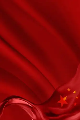 建党百年致敬国士