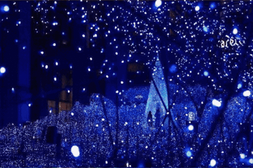 640_425gif 动态图 动图