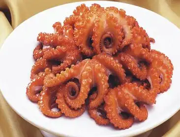 八爪鱼高清图片