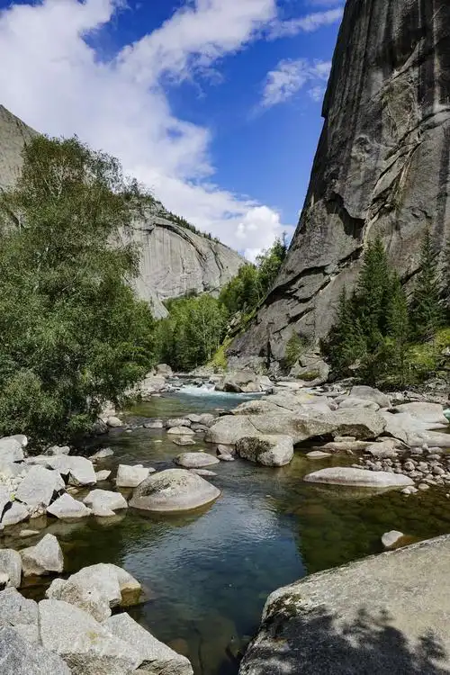 可可托海的夏天