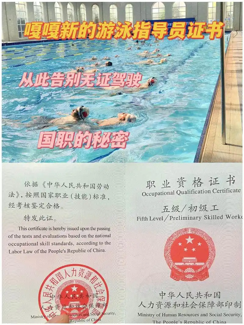 【游泳教练】:你需要这两个证书!9017 - 抖音