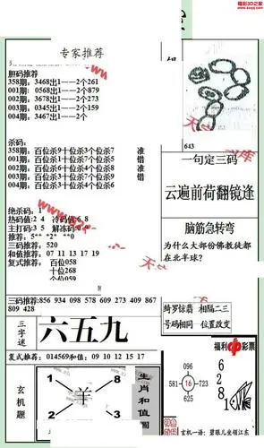 3d19004期银海布衣图