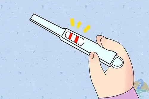 对于没有提前备孕的妈妈来说,等到发现怀孕,就已经是孕期2~3周了,这个