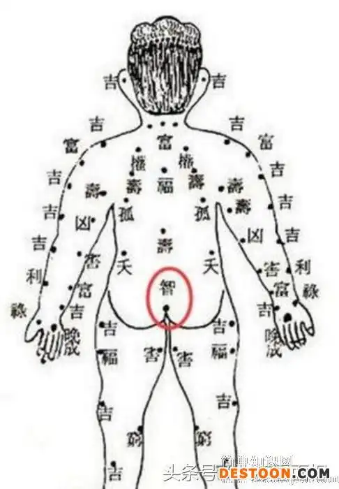 男人后背有痣好吗男人后背的痣相解析