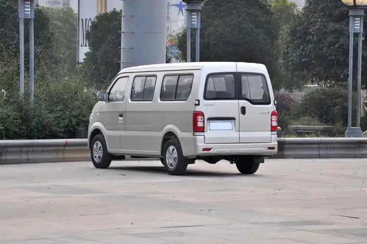 长安之星9后45度(车头向左)图片