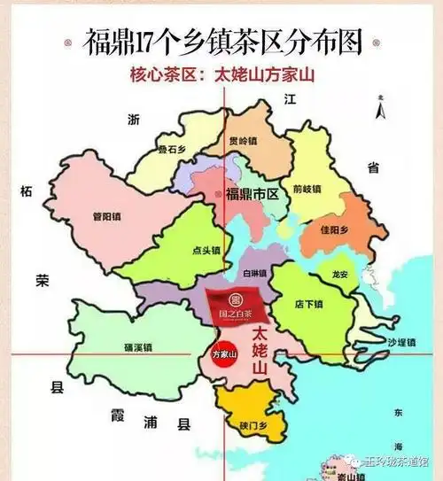 茶之美:大红袍 白毫银针_福鼎