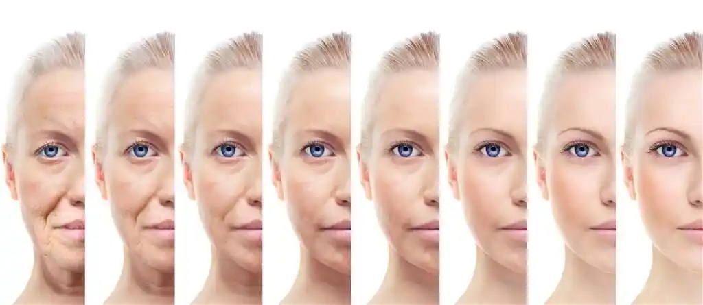 延缓衰老的密码