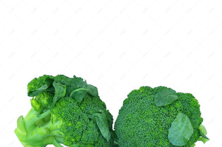 新鲜蔬菜西蓝花实物拍摄