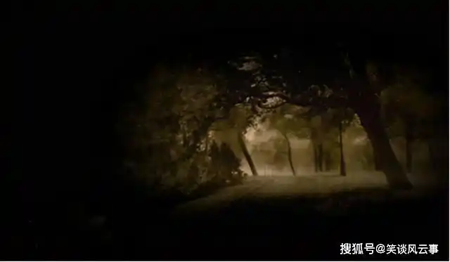 出现一条"黄泉路"在四川省眉山市的瓦屋山,有一片非常茂盛的原始森林