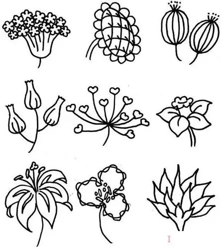 18种花朵的画法简单又漂亮各种花简笔画图片