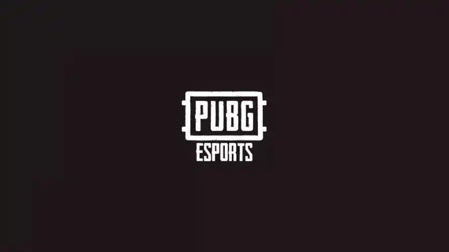 畅所"域"言:《绝地求生》pcl 2020:公布春夏秋三大