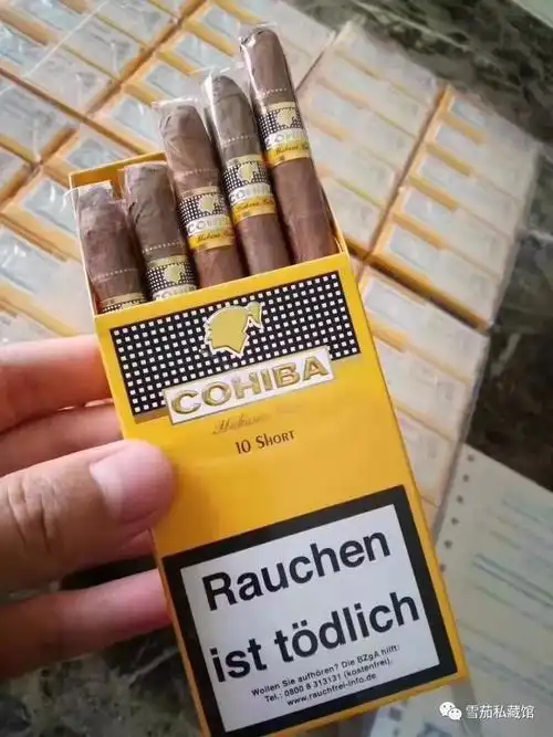 高希霸cohiba俱乐部迷你短小迷你