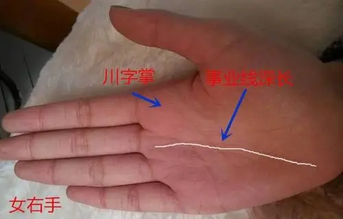 这类手相的人可以用一句话来形容,就是鱼和熊掌不可兼得,既属于标准的