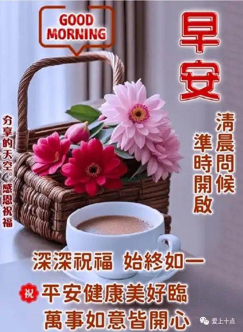 今日最新早上好表情图片大全,让美好的一天,充满快乐和幸福_问候_心情