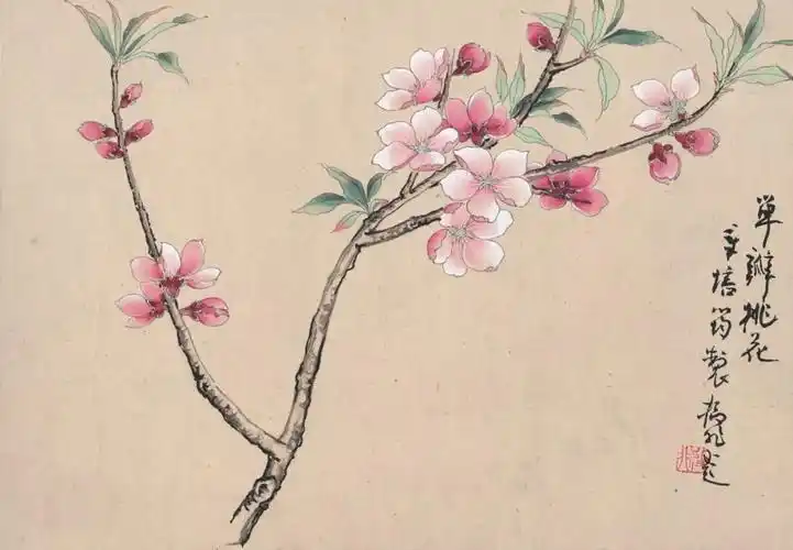 章培筠白描花鸟作品 | 80年代美院珍贵白描教材重新面世