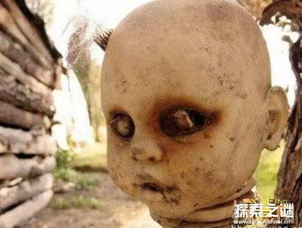 墨西哥娃娃岛的娃娃会杀人吗有人死在娃娃岛吗有诅咒