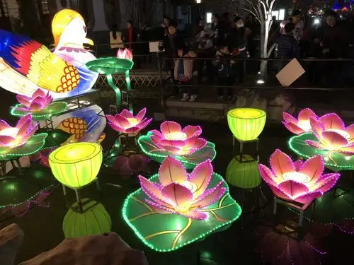 又是一年花灯节,各种造型的花灯,赏心悦目