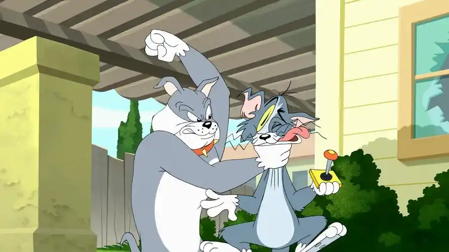 求图求问 猫和老鼠高清壁纸! - 知乎