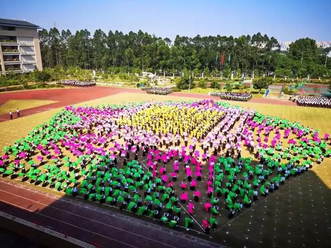 同学们拿着不着颜色的扇子组成几个大小不一不同颜色五角星