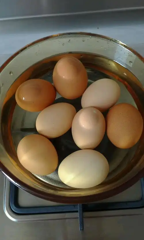 水煮鸡蛋(水煮鸡蛋多长时间能煮熟)_健康百科网