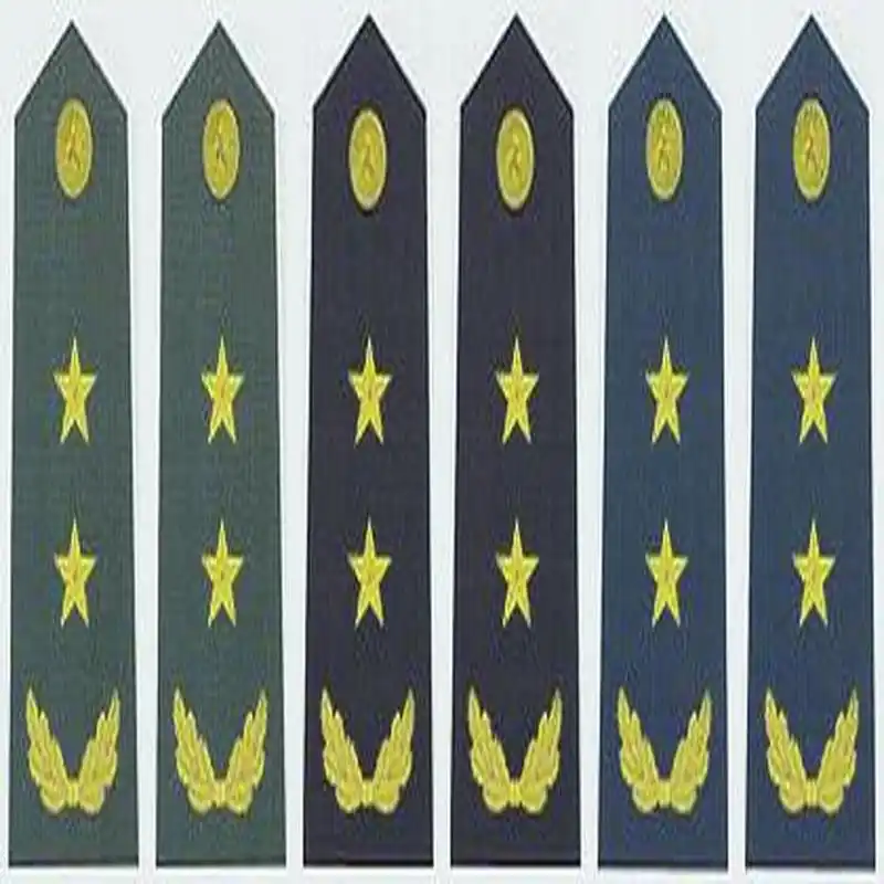 陆海空军中将常服肩章(2007～)